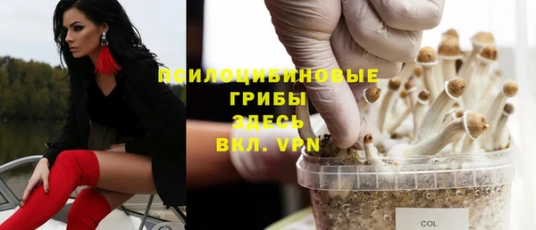 прущие грибы Кулебаки