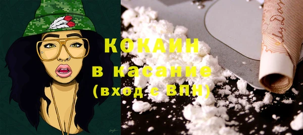прущие грибы Кулебаки